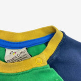 Green and Blue Tiger Raglan Tee