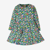 Little sophia skater dress