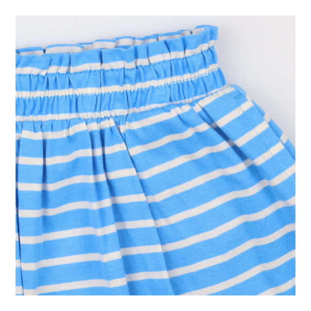 Blue Striped Skort