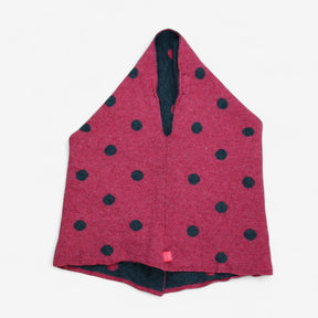 Poncho Ladybird