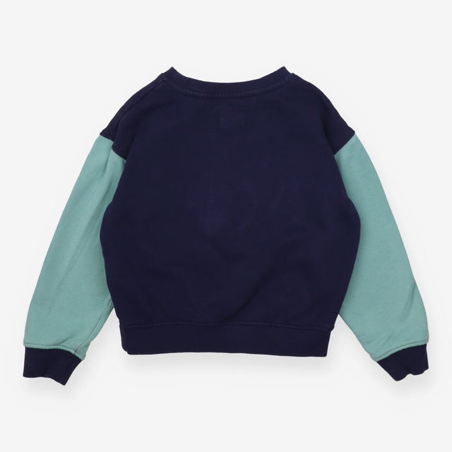 Sweater Blue and Green Team Planet Earth
