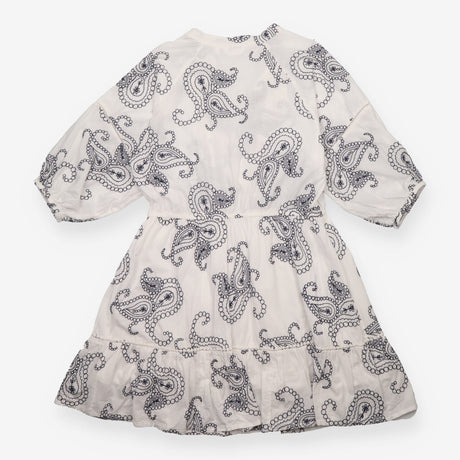 Dress Embroidered Paisley V Neck Tassel Mini