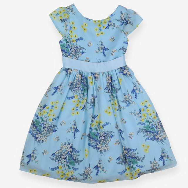 Blue Floral Occasion Dress