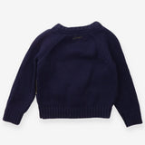 Sweater Knit Blue with Green Triceratops