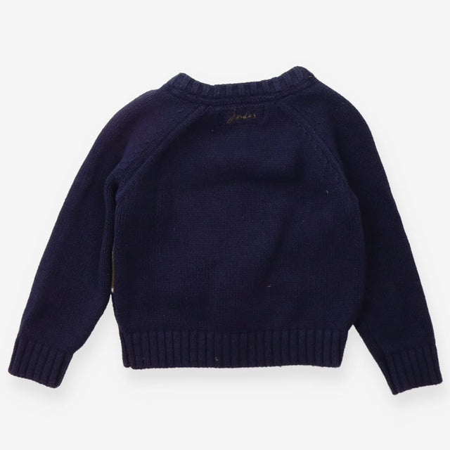 Sweater Knit Blue with Green Triceratops