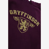 Hoodie Red Gryffindor