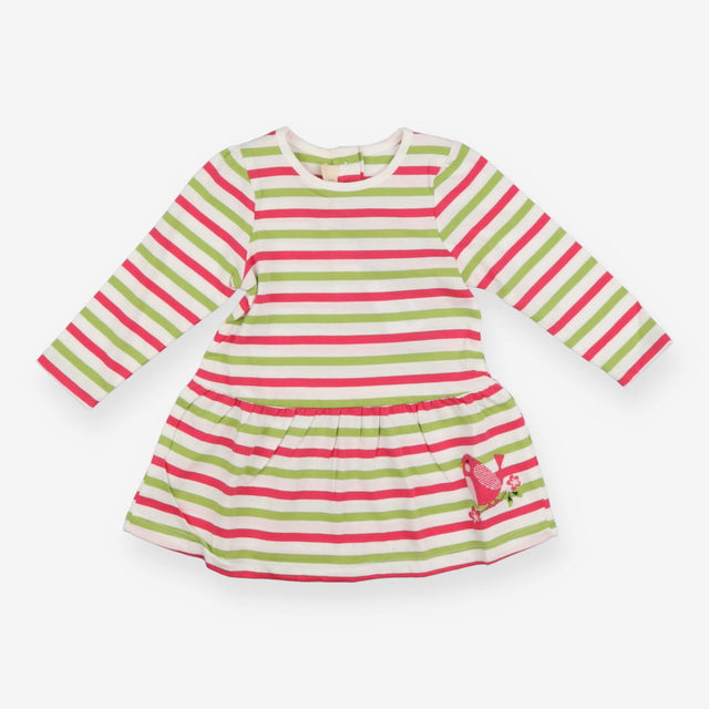 Dress Jersey Pink and Green Stripes - Bird 