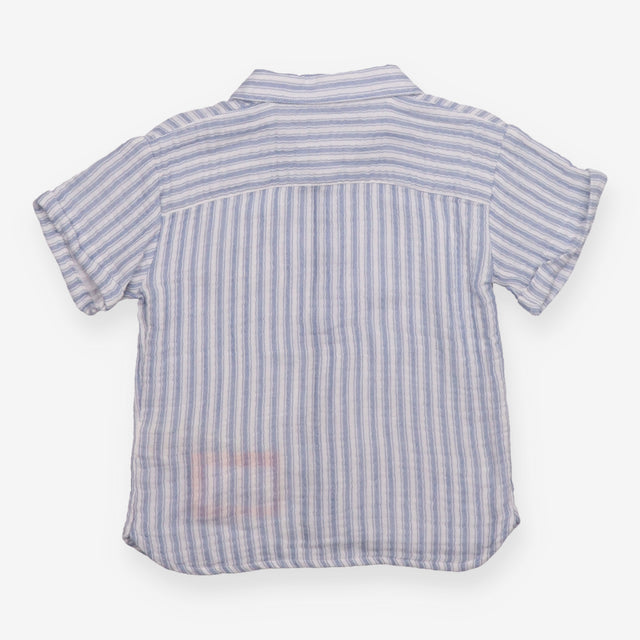 Shirt Short Sleeve Blue Stripe