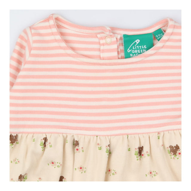 Dress Long Sleeved Pink Stripe Floral Squirrels