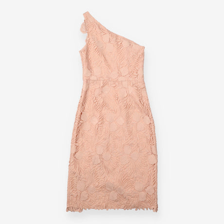 Midi Dress Blush Floral Lace One Shoulder