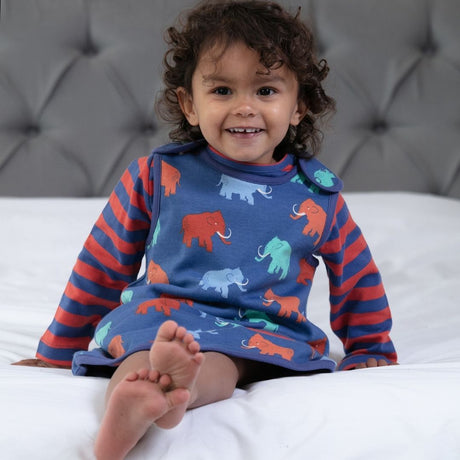 Mammoth reversible dress