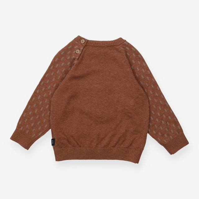 Jumper brown bear 