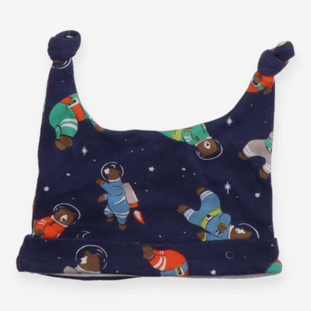 Navy bears in space hat