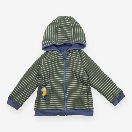 Reversible Hoodie Fleece Green Stripe and Blue Tra