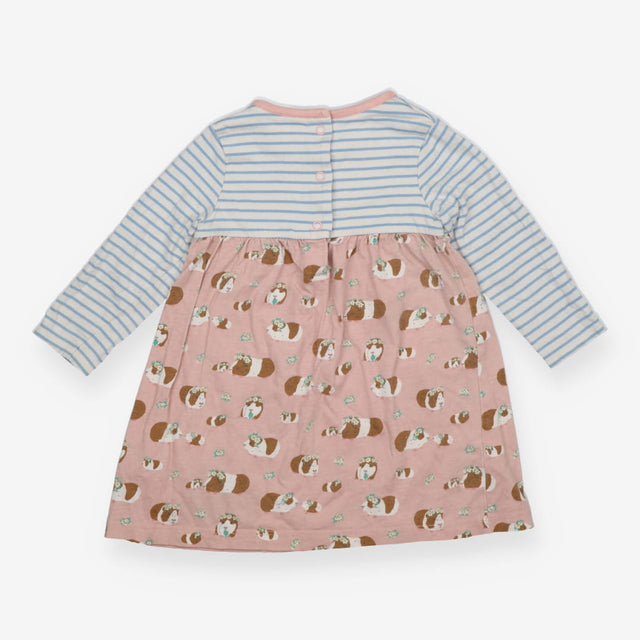 Dress Long Sleeved Blue Stripe and Pink Guineapigs