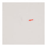 #E7D177B22781/0