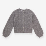 Cardigan Grey and Silver Sparkle