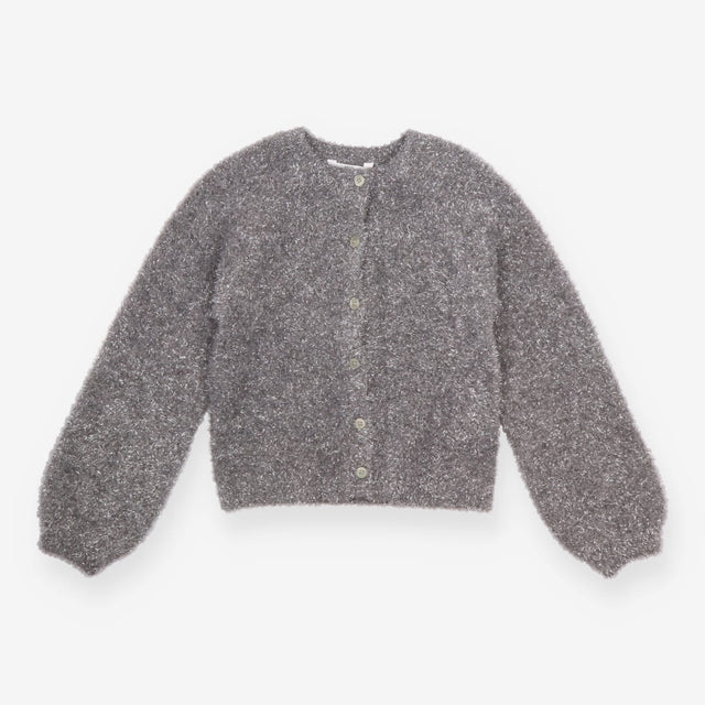 Cardigan Grey and Silver Sparkle