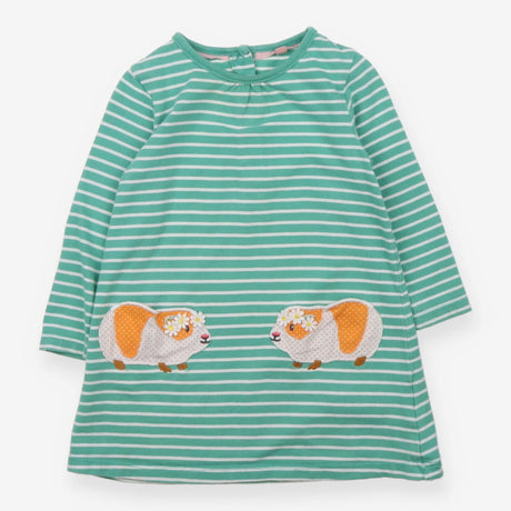 Dress Long Sleeved Green Stripe Guinea Pig Pockets