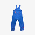 Blue Jersey Dinosaur Dungarees