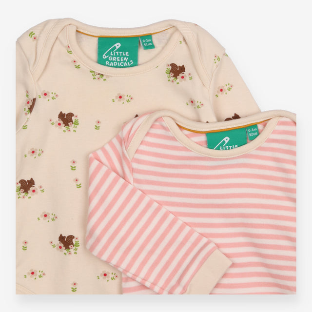 Autumn Squirrel Organic Baby Bodysuit Set