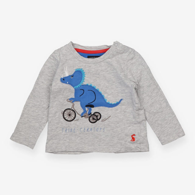 Trikeceratops Long Sleeve Grey T-shirt