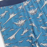 Pyjamas Blue Dinosaur