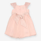 Dress pink lace top net skirt SS