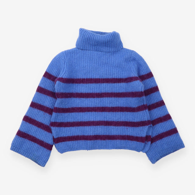 Blue Burgundy Striped Alpaca Wool Roll-Neck Jumper
