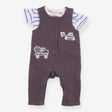Outfit Grey Dungarees striped SS tee