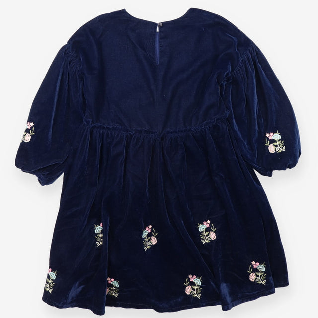 Dress Blue Velvet with Embroidered Flowers