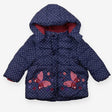Coat blue spots butterflies