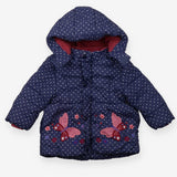 Coat blue spots butterflies