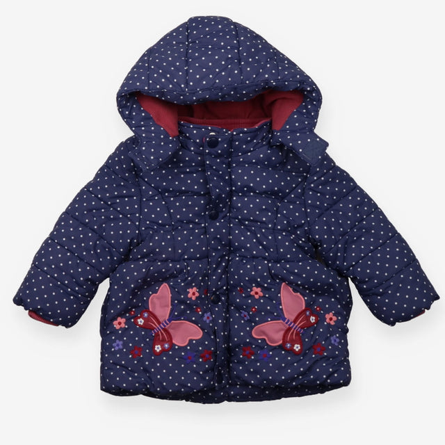 Coat blue spots butterflies
