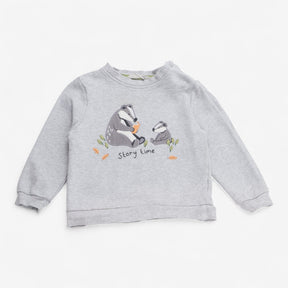 Jersey grey sweater story time badgers