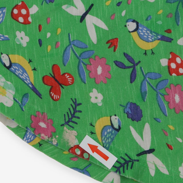 Green dress garden birds and insects