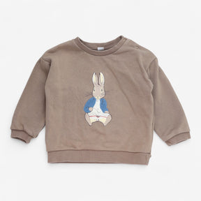 Sweater brown with peter rabbit applique