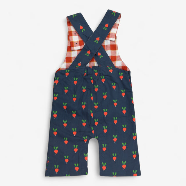 Blue Woven Radish Dungaree Check Lined