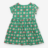 Dress green ladybird and daisy