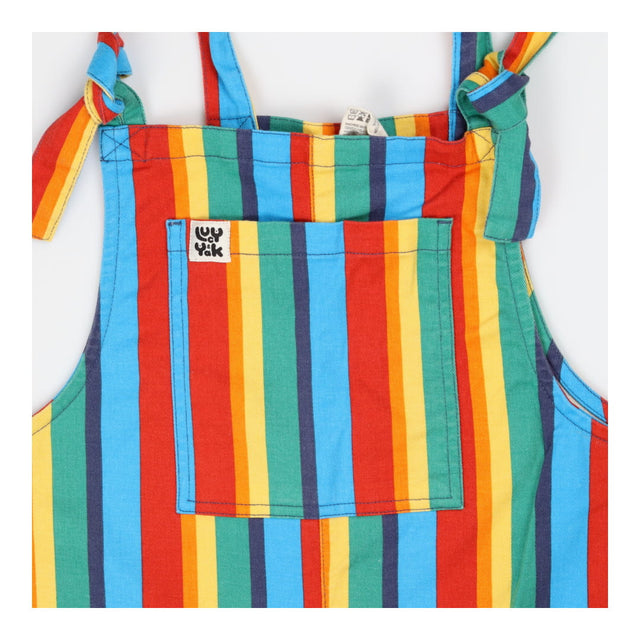 Rainbow Organic Cotton Dungarees - Tall