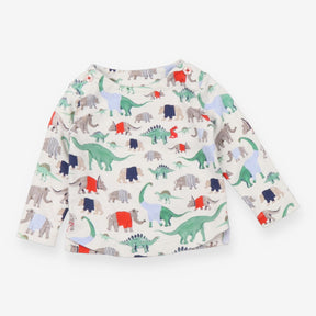 Dinosaur Long Sleeve 