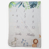 baby monthly milestone blanket
