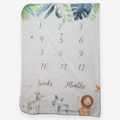 baby monthly milestone blanket