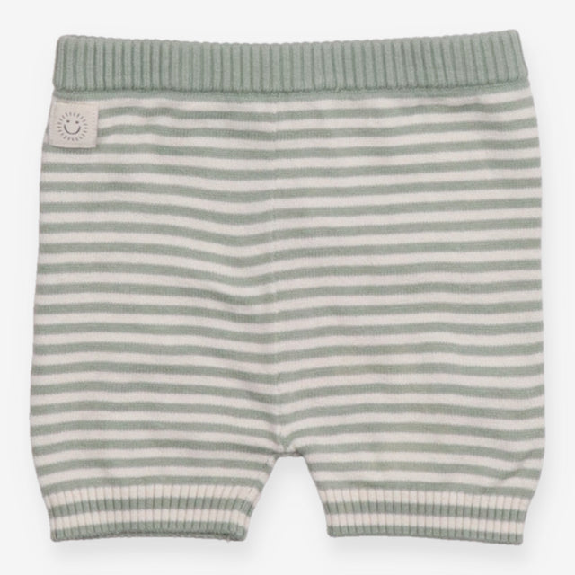 Green Striped Knit Shorts