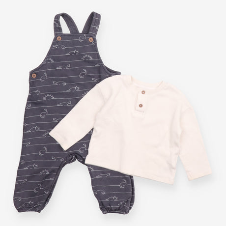 Grey Dinosaur Dungarees with Long Sleeve
