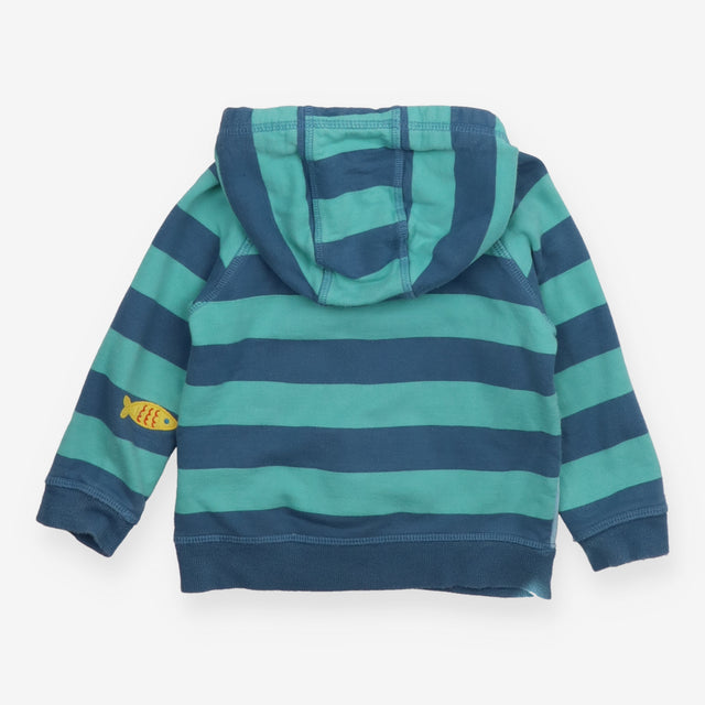 Green and Blue Striped Fish Hoodie
