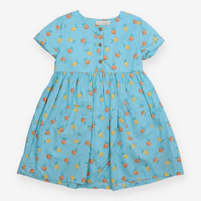 Dress Short Sleeve Blue Oranges and Lemons