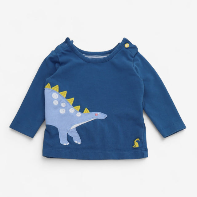 Outfit Blue Dinosaur and Striped Leggings