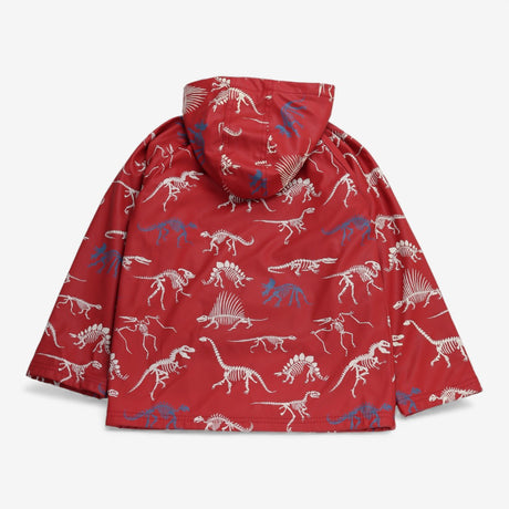 Red coat dinosaur skeletons
