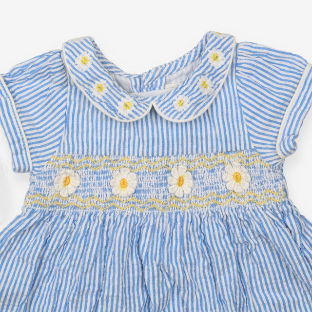 Blue Striped Daisy Dress